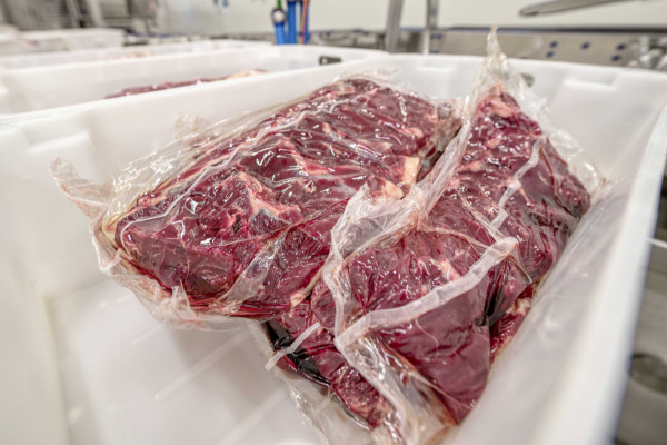 3 Best Tips for Shipping Frozen Meat