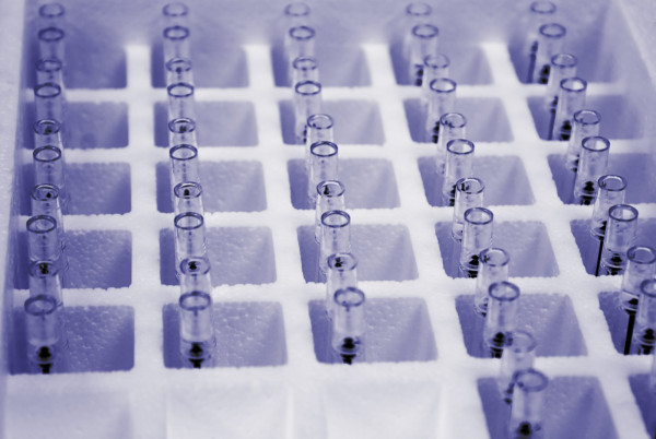 Custom Cold Chain Solutions for Pharmaceutical Clients